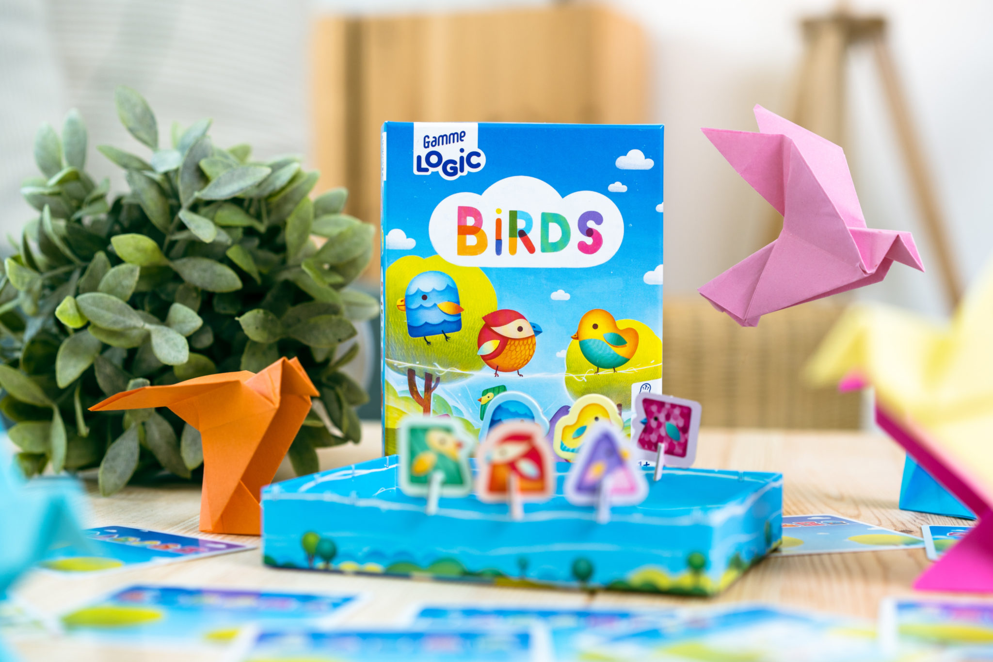 Blackrock Games – Gamma Logic Birds – BANKIIIZ Edition – Gioco Di Logica In Francese – 60 Sfide Per 1 Giocatore, 7+ Anni